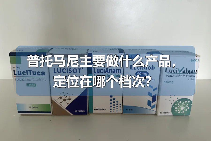 普托马尼主要做什么产品，定位在哪个档次？